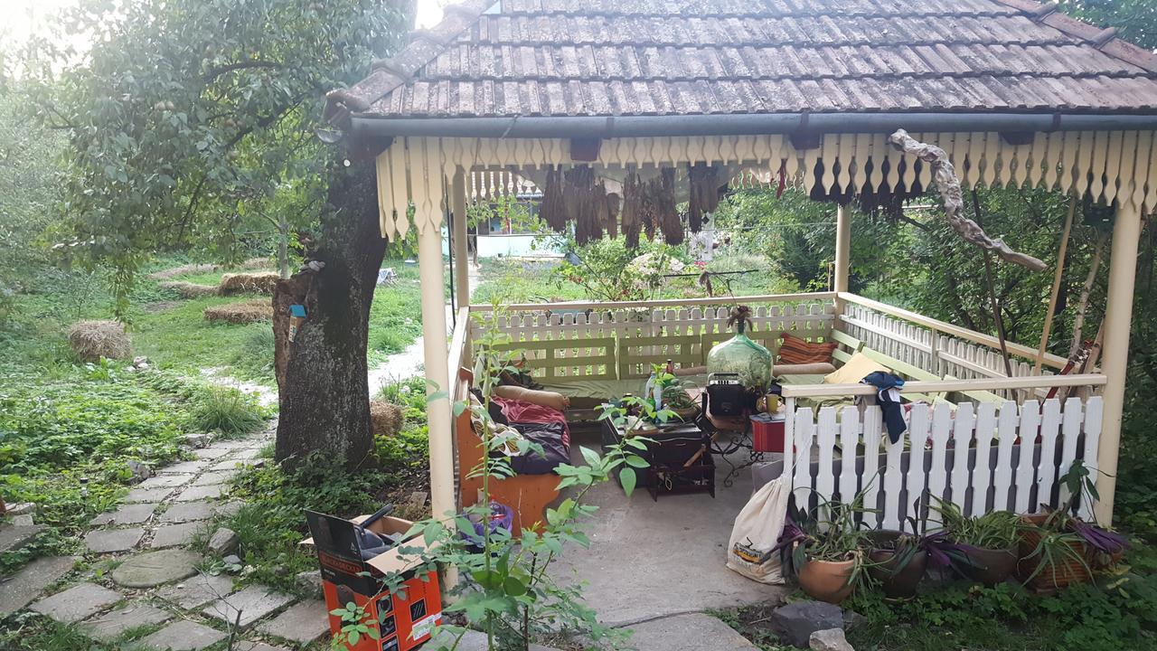 Hostel Mountain Tale Brașov Exterior foto