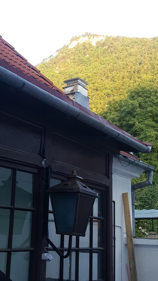 Hostel Mountain Tale Brașov Exterior foto