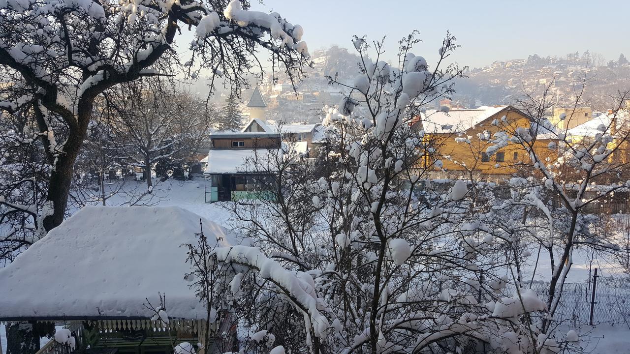Hostel Mountain Tale Brașov Zimmer foto